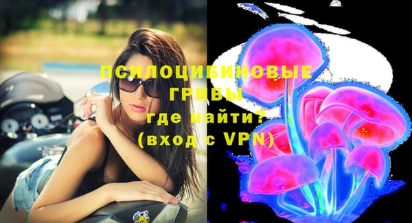 mdpv Богородск