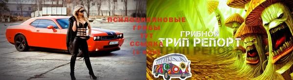 ALPHA PVP Богданович